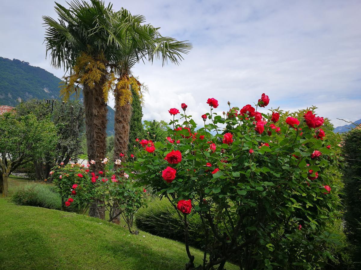 Bellagio Lake View Villa Oliveto Lario Ngoại thất bức ảnh