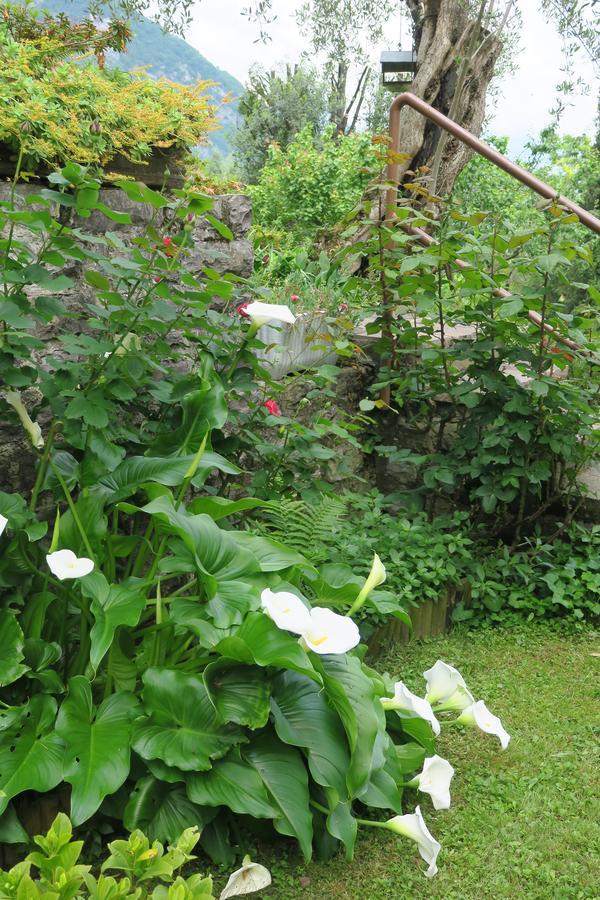 Bellagio Lake View Villa Oliveto Lario Ngoại thất bức ảnh