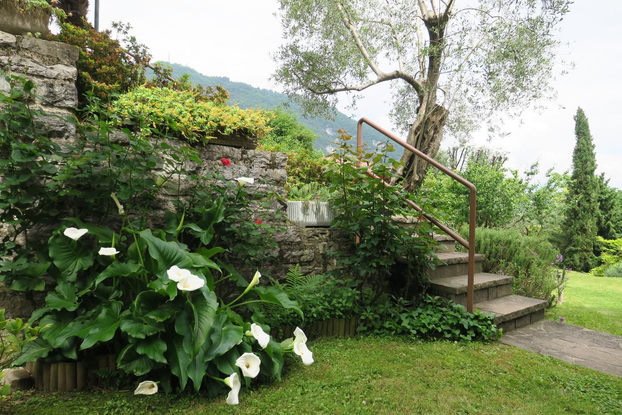 Bellagio Lake View Villa Oliveto Lario Ngoại thất bức ảnh