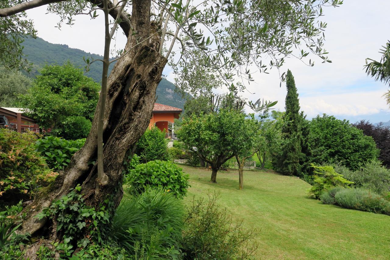 Bellagio Lake View Villa Oliveto Lario Ngoại thất bức ảnh