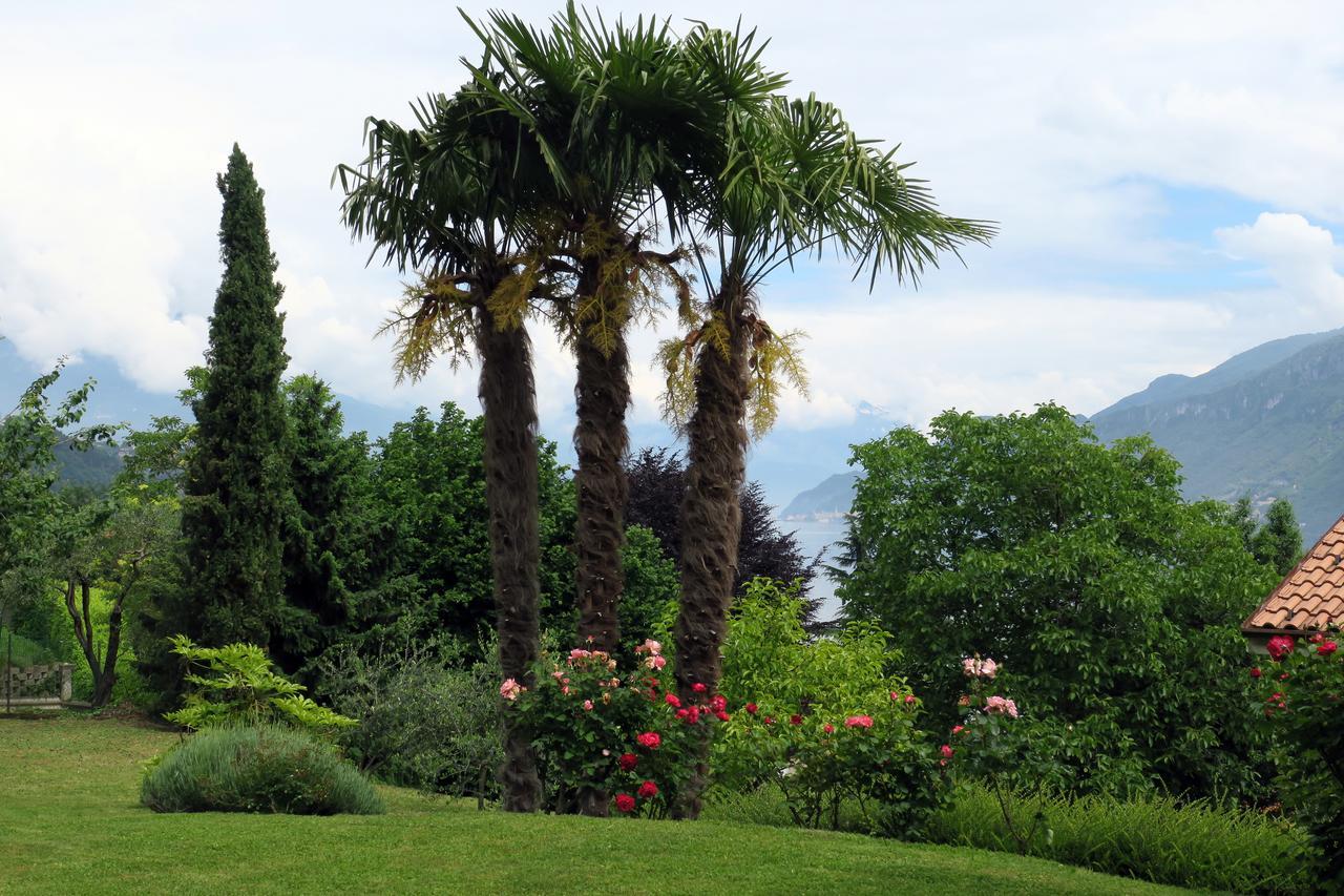 Bellagio Lake View Villa Oliveto Lario Ngoại thất bức ảnh